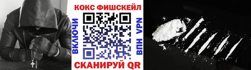 COCAIN Fish Scale  blacksprut как зайти  Ветлуга  наркота 