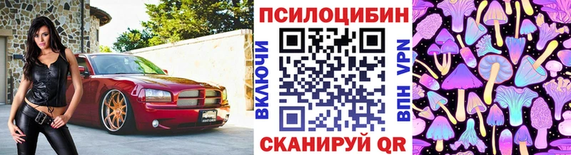 гидра вход  Ветлуга  Галлюциногенные грибы Psilocybine cubensis 
